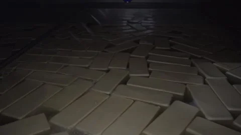 Production line machinery processing freshly fermented cheese Stock Footage 252484438