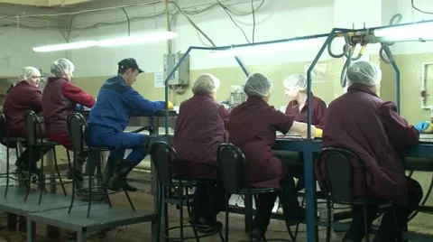 The production line processing plant. The selection of raw materials. Berries. Stock Footage 49613167