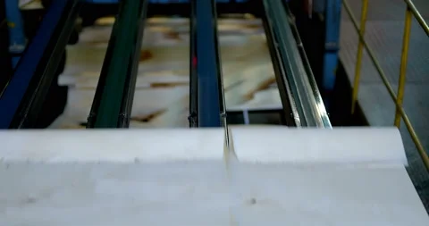Production line transports rough material for plywood in the  woodworking plant  Stock Footage 105981630