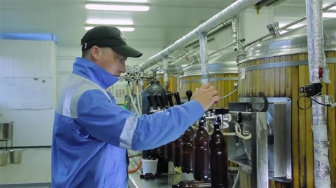 Production of live beer brewing Stock Footage 42572794