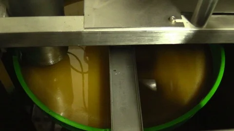 Production Of Olive Oil Stock Footage 95594914