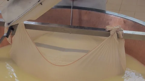 Production of parmesan cheese, cutting Stock Footage 89989413