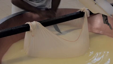 Production of parmesan cheese, forming Stock Footage 89989457