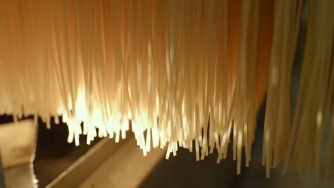 Production of pasta or noodles Stock Footage 84788901