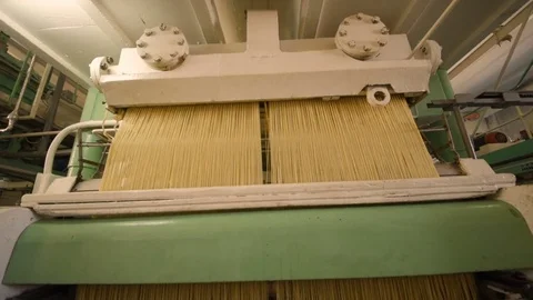 Production of pasta or noodles Stock Footage 84795672