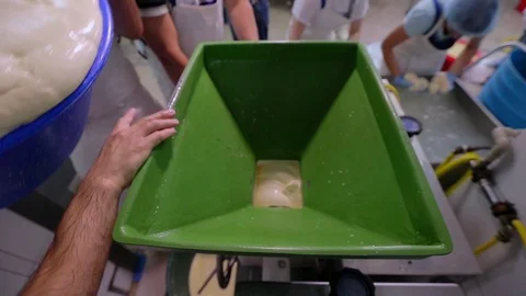 Production Phase Of Mozzarella With Spun Paste Cheese Stockbeeldmateriaal 89575716