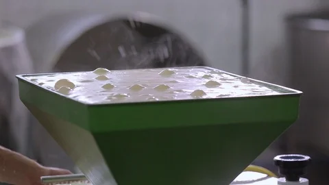 Production Phase Of Mozzarella With Spun Paste Cheese 库存影片 89575899