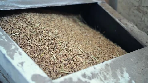 Production plant with rice mill machine during working process in slow motion Video stock 246561180