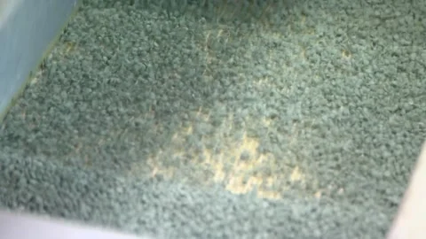 Production of plastic that decomposes. Green Plastic. Decaying plastic. Stock Footage 248753111