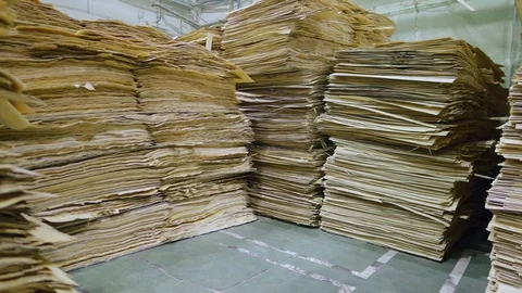 Production of plywood sheets. Stock Footage 99268317