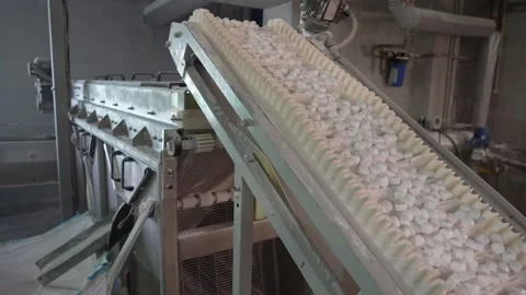 Production potential of the new line Video stock 296086782
