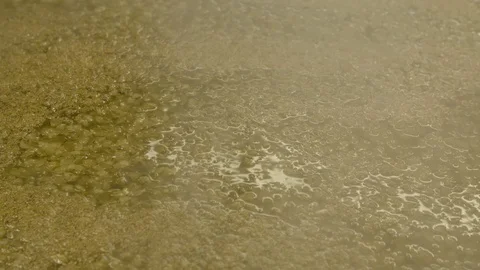 Production process of alcoholic beverage in distillery Stock Footage 87614322