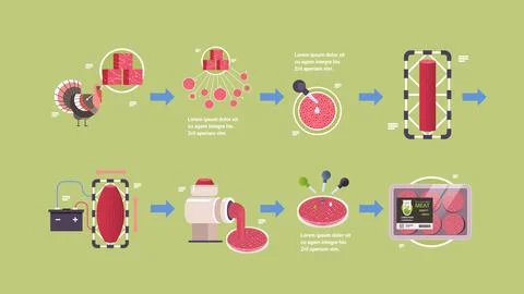 Production process cultured red raw meat made from animal cells artificial lab イラスト素材