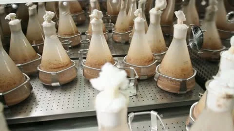 Production process with a machine Stock Footage 11857992