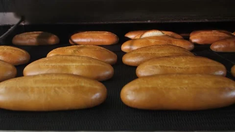 The Production Process Of Making Bread. Spraying Loaves. Stock Footage 174726808