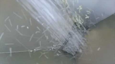 Production process of polymer and thermoplastic elastomer compounds. 库存影片 63371591