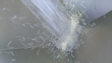 Production process of polymer and thermoplastic elastomer compounds. 库存影片 63371647