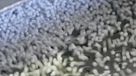 Production process of polymer and thermoplastic elastomer compounds. 库存影片 63371799