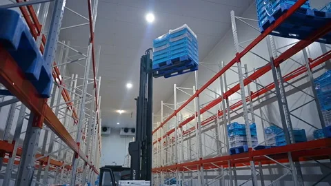 Production processes at poultry farm. Processes for the production of meat  Stock Footage 159156790