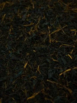 Production of processing tea leaves. Foto stock