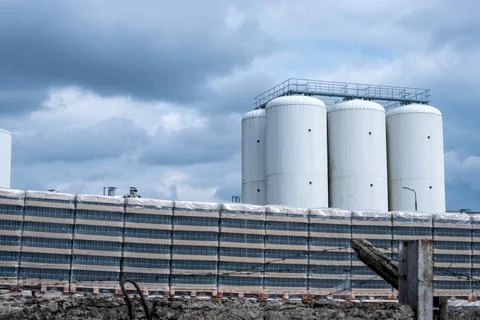 Production racks of packaging for empty beer bottles at a brewery. Stock Photos