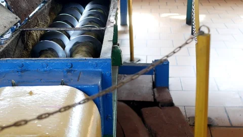 Production of rapeseed oil, processing of oilseed rapeseed, supply of rapeseed Stock-Footage 95947262