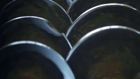 Production of rapeseed oil, processing of oilseed rapeseed, supply of rapeseed Stock Footage 95947664