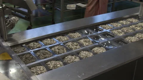 Production of seafood salad Video stock 24951678