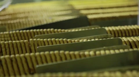 Production of sweets and biscuits in the factory Stock Footage 68501951