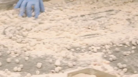 Production of Sweets Close-up Video stock 76334982