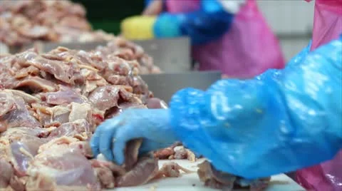 Production of white meat Stock Footage 24638843