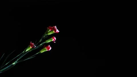 Products on a black background Stock Photos