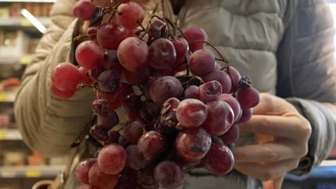 Products that cannot be sold in grocery stores. Stale spoiled rotten grapes on t Stock Footage 297740008