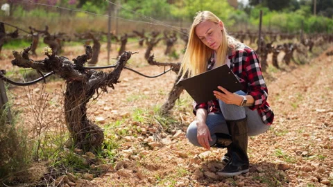 Professional agronomist analyzing soil quality and recording data in field... Video stock 332856063