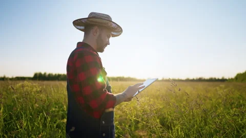 Professional agronomist with modern tablet standing in farmland in summer day Stock Footage 315531658