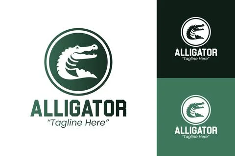 Professional and Creative Alligator Logo Designs for Branding Stock Illustration