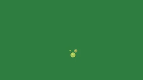 Professional Animated With Grapes Element Stock Footage 338017963