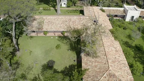Professional arborist with chainsaw in a tree pruning 11 Video stock 160502531