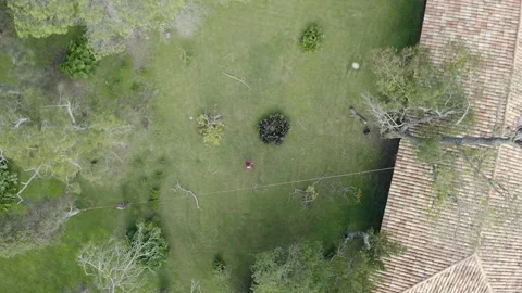 Professional arborist with chainsaw in a tree pruning 8 Video stock 160502620