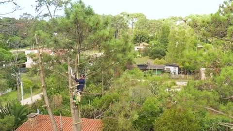 Professional arborist cimbing with chainsaw in a tree in town 12 Video stock 160568940