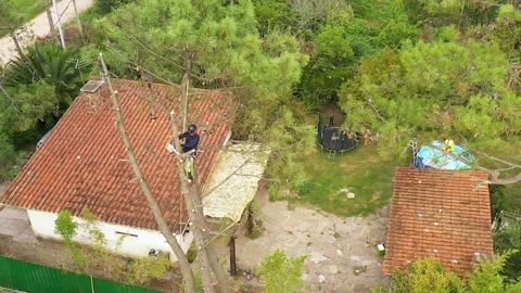 Professional arborist cimbing with chainsaw in a tree in town 18 Video stock 160569112