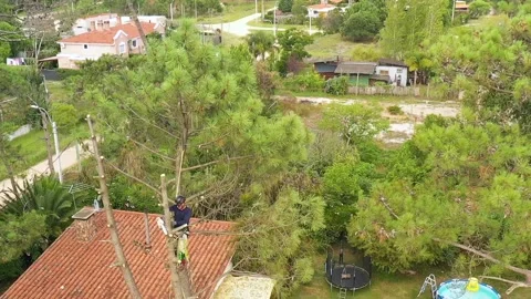 Professional arborist cimbing with chainsaw in a tree in town 13 Video stock 160569176
