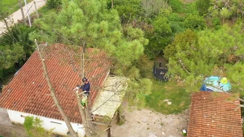 Professional arborist cimbing with chainsaw in a tree in town 21 Video stock 160569363