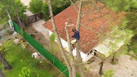Professional arborist cimbing with chainsaw in a tree in town 14 Video stock 160569567