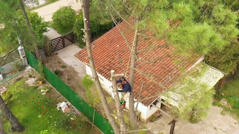 Professional arborist cimbing with chainsaw in a tree in town 10 Video stock 160569797