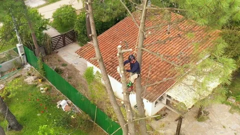 Professional arborist cimbing with chainsaw in a tree in town 4 Video stock 160570295