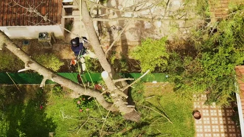 Professional arborist cimbing with chainsaw in a tree in town 6 Video stock 160570326