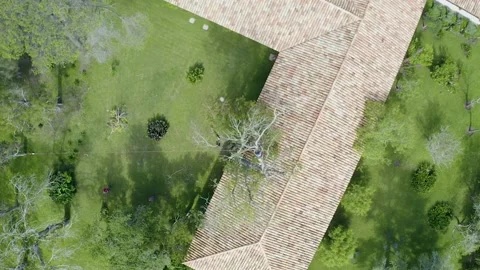 Professional arborist with hand saw in a tree pruning Video stock 160502405