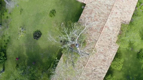 Professional arborist with hand saw in a tree pruning Video stock 160502463