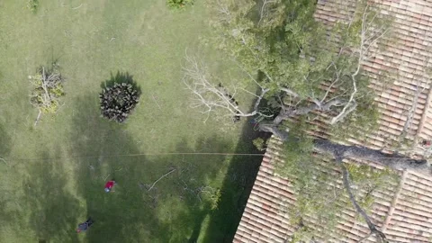 Professional arborist with hand saw in a tree pruning Video stock 160502675